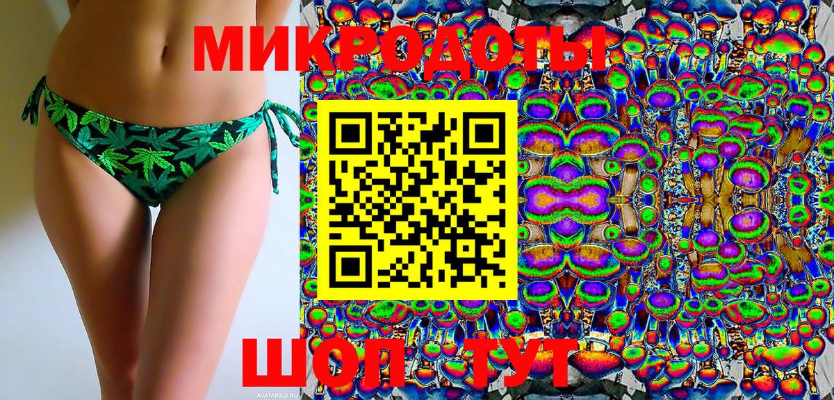 Псилоцибиновые грибы Psilocybe Соликамск